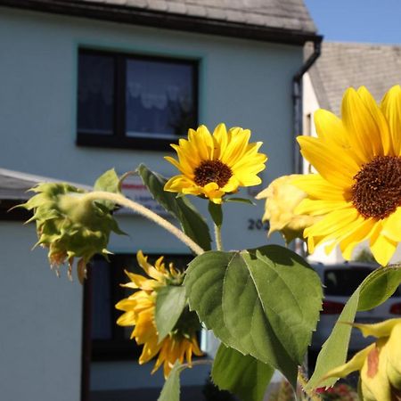 Ferienwohnung Lippmann Grosshartmannsdorf Dış mekan fotoğraf