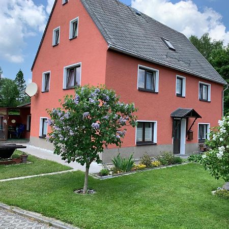 Ferienwohnung Lippmann Grosshartmannsdorf Dış mekan fotoğraf
