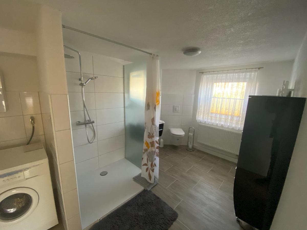 Ferienwohnung Lippmann Grosshartmannsdorf Dış mekan fotoğraf