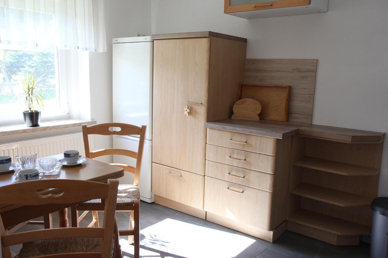 Ferienwohnung Lippmann Grosshartmannsdorf Dış mekan fotoğraf