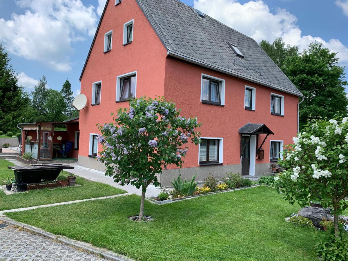 Ferienwohnung Lippmann Grosshartmannsdorf Dış mekan fotoğraf